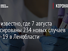 Стало известно, где 7 августа зафиксированы 234 новых случаев COVID-19 в Ленобласти