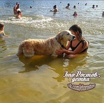 Ростовчанин в соцсетях раскритиковал жителей, купающихся в водоемах с собаками