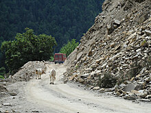 Камнепад перекрыл трассу в Сванети