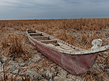 Ирак обменяет нефть на воду из-за сильной засухи