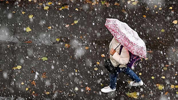 Вильфанд: около 50% территории России уже покрыто снегом