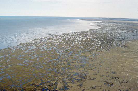 Надежда есть: экологи о спасении Аральского моря