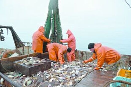 Подводная экономика. Как развивается волгоградская рыбная отрасль?