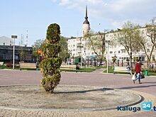 Из парка убрали бело-сине-красную щепу