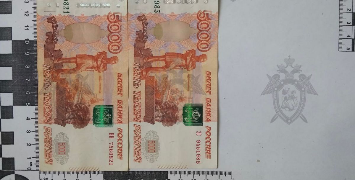 В Ростове бывшая сотрудница миграционного отдела полиции и ее знакомый обвиняются во взятке на сумму 255 тыс. рублей