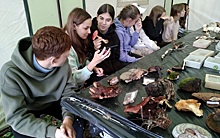 Школьники из Рязани посетили экослет в Калужской области