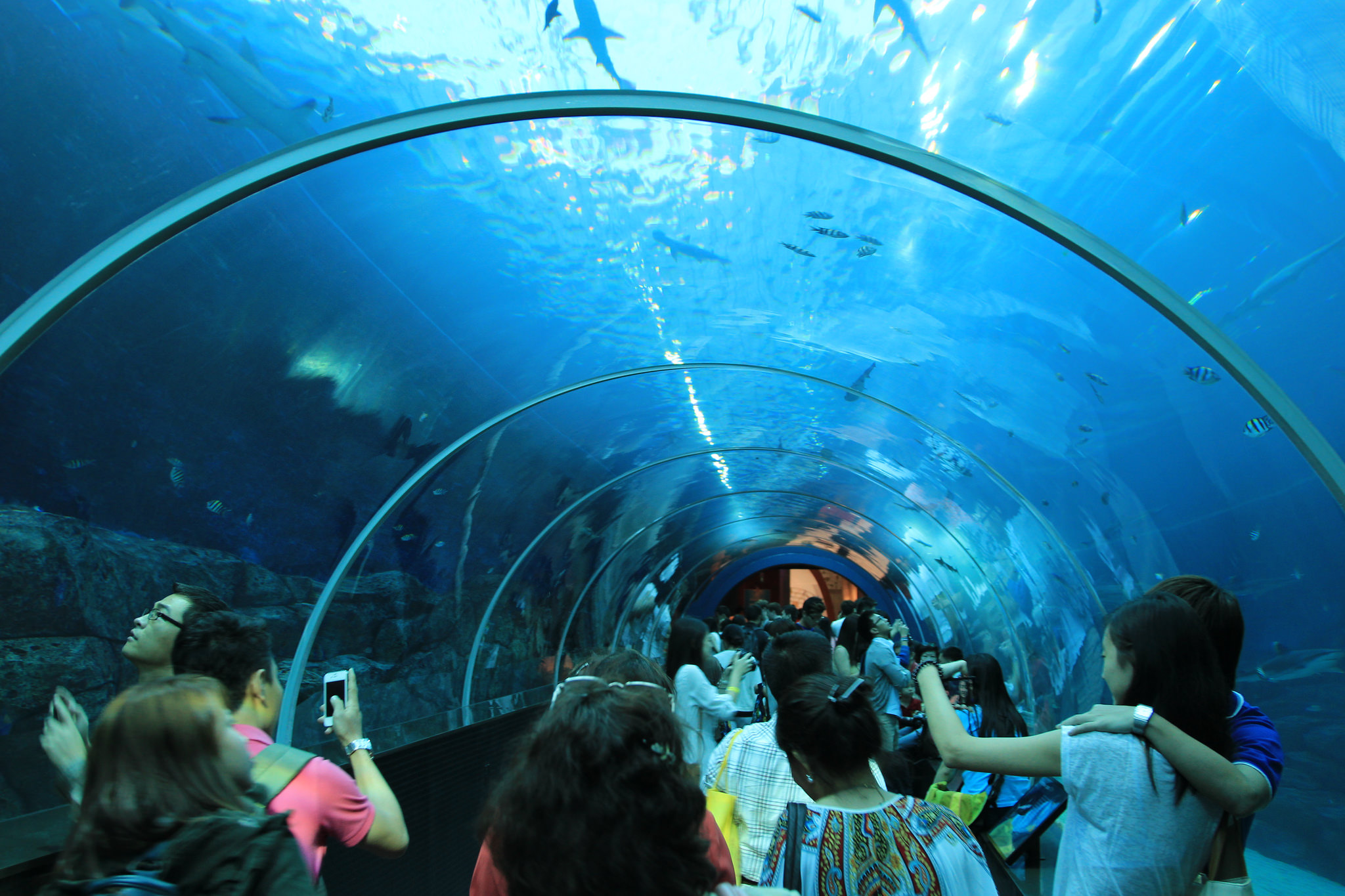 Аквариум на острове Сентоза, Остров Сентоза, Сингапур, Азия