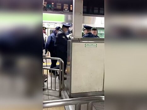 В токийском метро женщина набросилась на пассажиров
