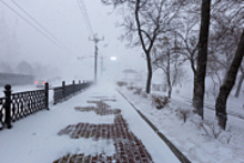 Зимний шторм парализовал Хабаровск