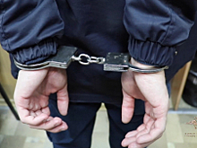 В Московской области полицейские и сотрудники ФСБ России задержали подозреваемого в терроризме