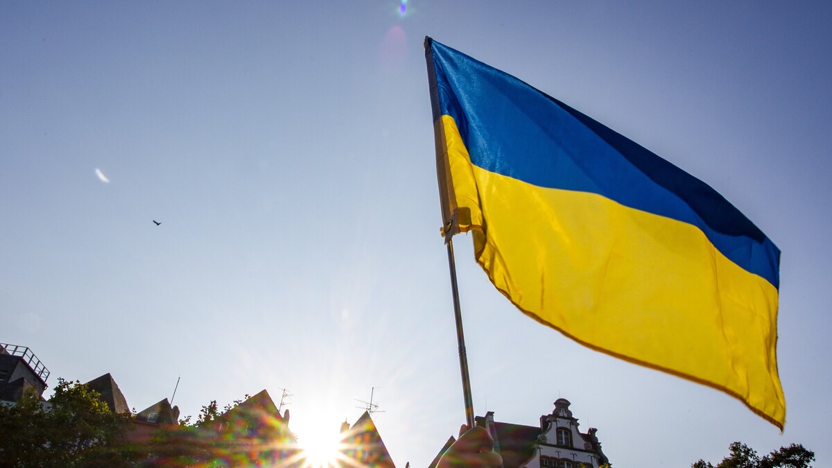 На Западе ужаснулись антиутопии на границе Украины с Румынией