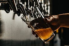 В России предрекли подорожание пива