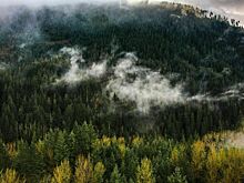 Главу МЧС России пригласили на «правительственный час» в Совфед