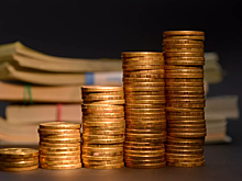 В России выступили за приостановку соглашений по налогам с рядом стран