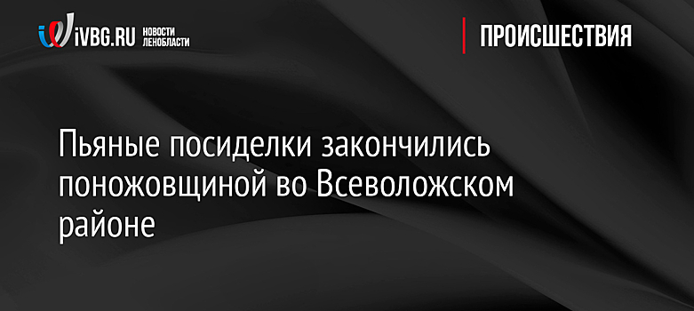 Пьяные посиделки закончились поножовщиной во Всеволожском районе