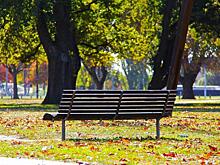 Парк на Ходынском поле построят в два этапа