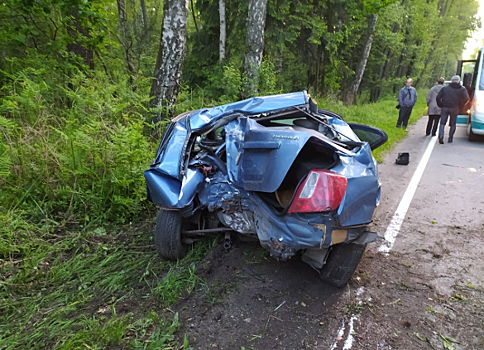 Очевидцы: На балтийской трассе пьяный автомобилист врезался в дерево