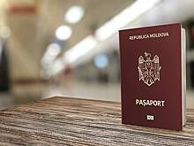 Президент Молдавии предоставила гражданство сыну солиста группы «Би-2»