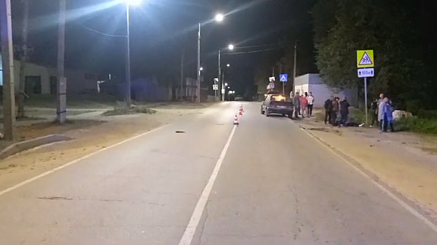 Пьяный водитель насмерть переехал пешехода в Ардатовском округе