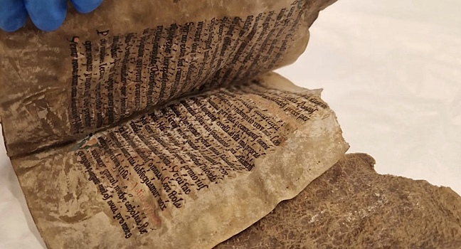 В Норвегии нашли книгу XIII века в обложке из тюленьей шкуры