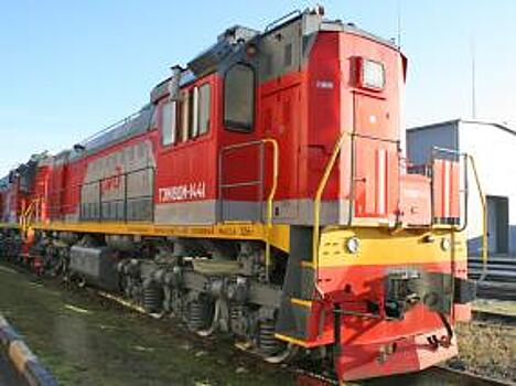 В ноябре численность рабочего парка маневровых грузовых локомотивов РЖД незначительно выросла, на 0,1% в годовой динамике, и составила 2593 ед.