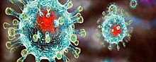 В Оренбургской области подтвердили 479 случаев коронавируса за сутки