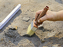 Найдена "сакральная ограда" поселения эпохи неолита