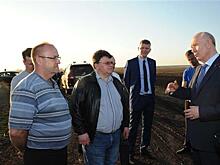 Губернатор встретился с производителями сельхозпродукции Кинель-Черкасского района