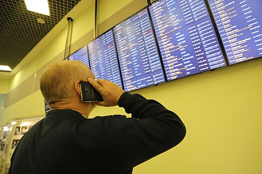 Более 70 рейсов задержали и отменили в московских аэропортах