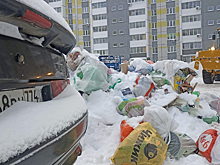 ЦКС отчитался об уборке за сутки 90 заваленных мусором площадок в Челябинске