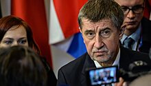 Зарубежные спецслужбы не вмешивались в выборы в Чехии, заявил премьер