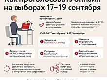 350 тысяч голосов уже получено в онлайн-голосовании, система работает в штатном режиме