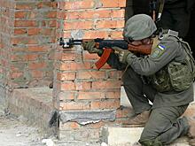 Партизанские отряды помешают Кремля захватить власть на Украине