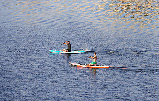 Сапсерферов предложили штрафовать за катание без спасательных жилетов