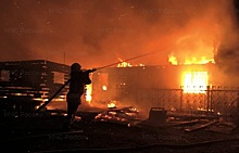 В Новосибирской области за неделю в пожарах погибли два человека