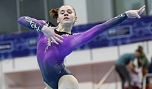 Далалоян стал чемпионом России по спортивной гимнастике в личном многоборье