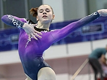 Далалоян стал чемпионом России по спортивной гимнастике в личном многоборье
