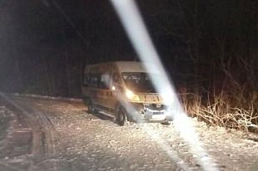 В Калининградской области автобус с детьми вылетел в кювет