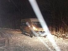 В Калининградской области автобус с детьми вылетел в кювет