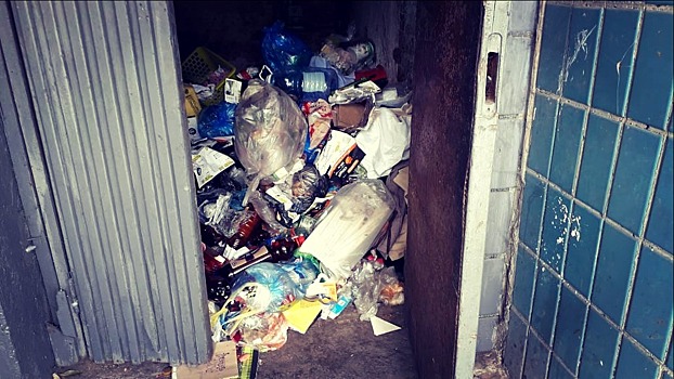 ЦКС рассказал, кто виноват в мусорном коллапсе на территории Миасса и что делать