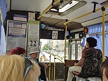 В Кургане начинают ходить садоводческие маршруты