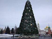 В Барнауле перенесут главную елку Индустриального района