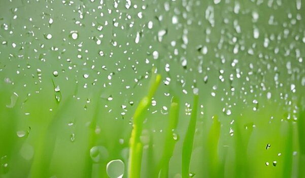 Все болезни от сырости?