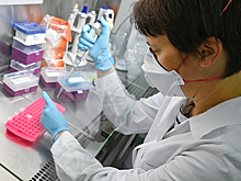 Гинцбург назвал достаточное количество антител для защиты от коронавируса