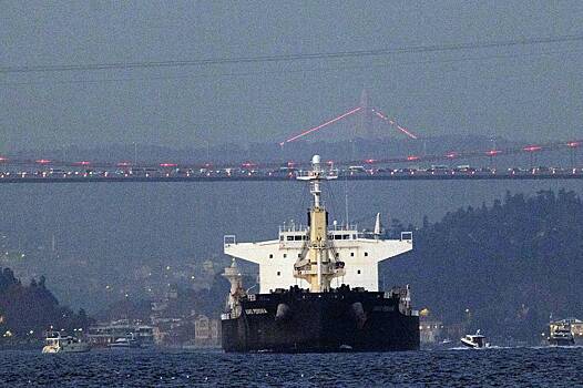 Политолог указал на искажение целей зерновой сделки