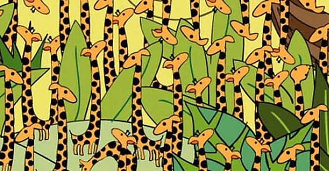 На картинке есть змея среди жирафов. Сможете ли вы её найти?