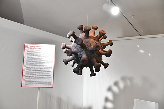 В Омской области продлили режим повышенной готовности из-за COVID-19