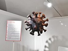 В Омской области продлили режим повышенной готовности из-за COVID-19