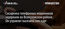 Сисадмина телефонных мошенников задержали во Всеволожском районе. Он управлял тысячами сим-карт