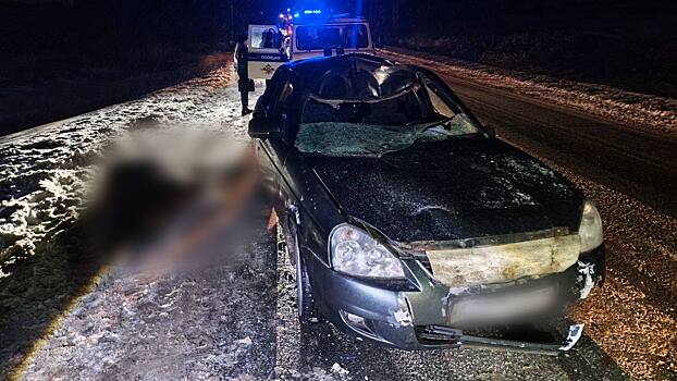 Водитель «Лады» столкнулся с лосем на дороге в Удмуртии